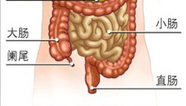 ���Գ��׵����Ʒ���