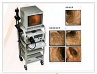 ���ӽ᳦��