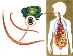 ������ƻ׳没