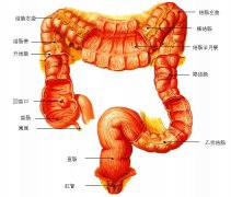 �����������Ԥ������Ⱥʧ��