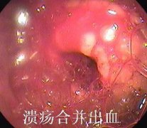 ����ʮ��ָ������