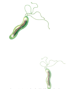 �����������˾�