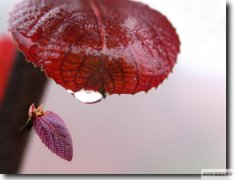 ��ڱ�����ô���£�